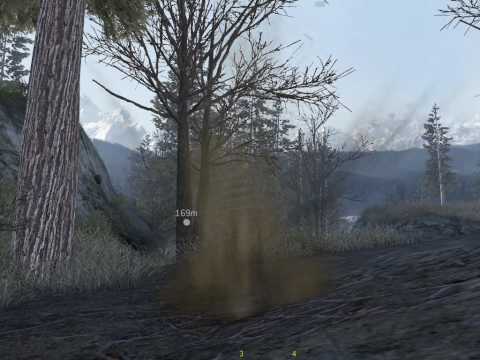【CoD: MW2】星のM4カービィン コールオブデュラックス【スカイハイ】