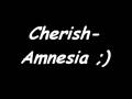 Cherish-Amnesia