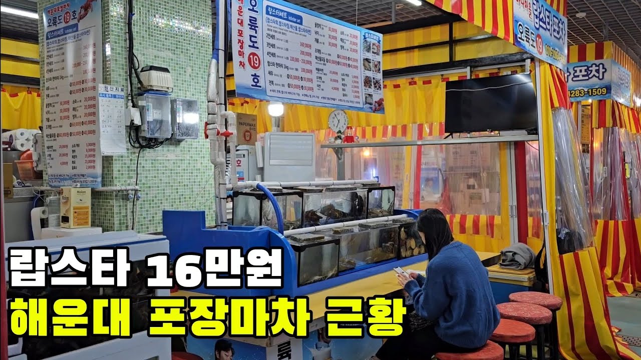 해운대 포장마차, 다시 돌아왔다!