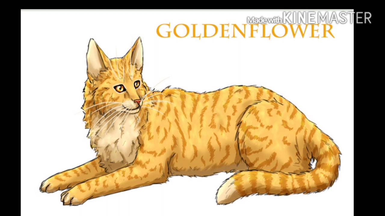 Top 8 Warrior Cat Artists YouTube top-8-warrior-cat-artists-youtube