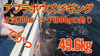 アブラボウズをスロージギングで狙う タックル 仕掛け と はじめ方と釣り方 のまとめ Fishfunt