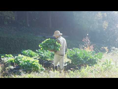 【30代田舎暮らし】朝5時から始まる自給自足の冬/家族でおでん #296