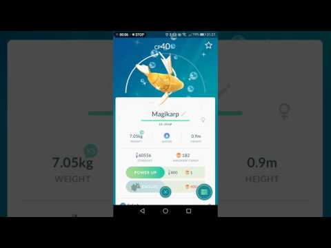 Shiny magikarp