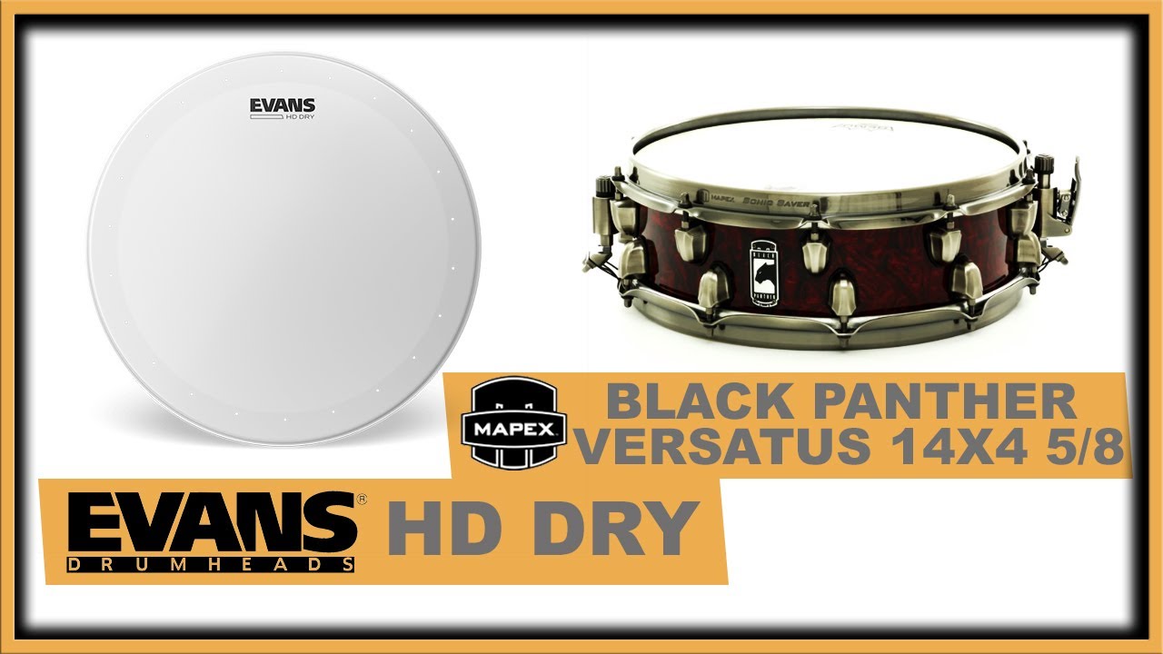 🔴 🟡 🟢 Parche Evans HD DRY + Mapex Black Panther Versatus - Review de Parches - Demo