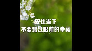 201604 安住当下  不要错过眼前的幸福21736