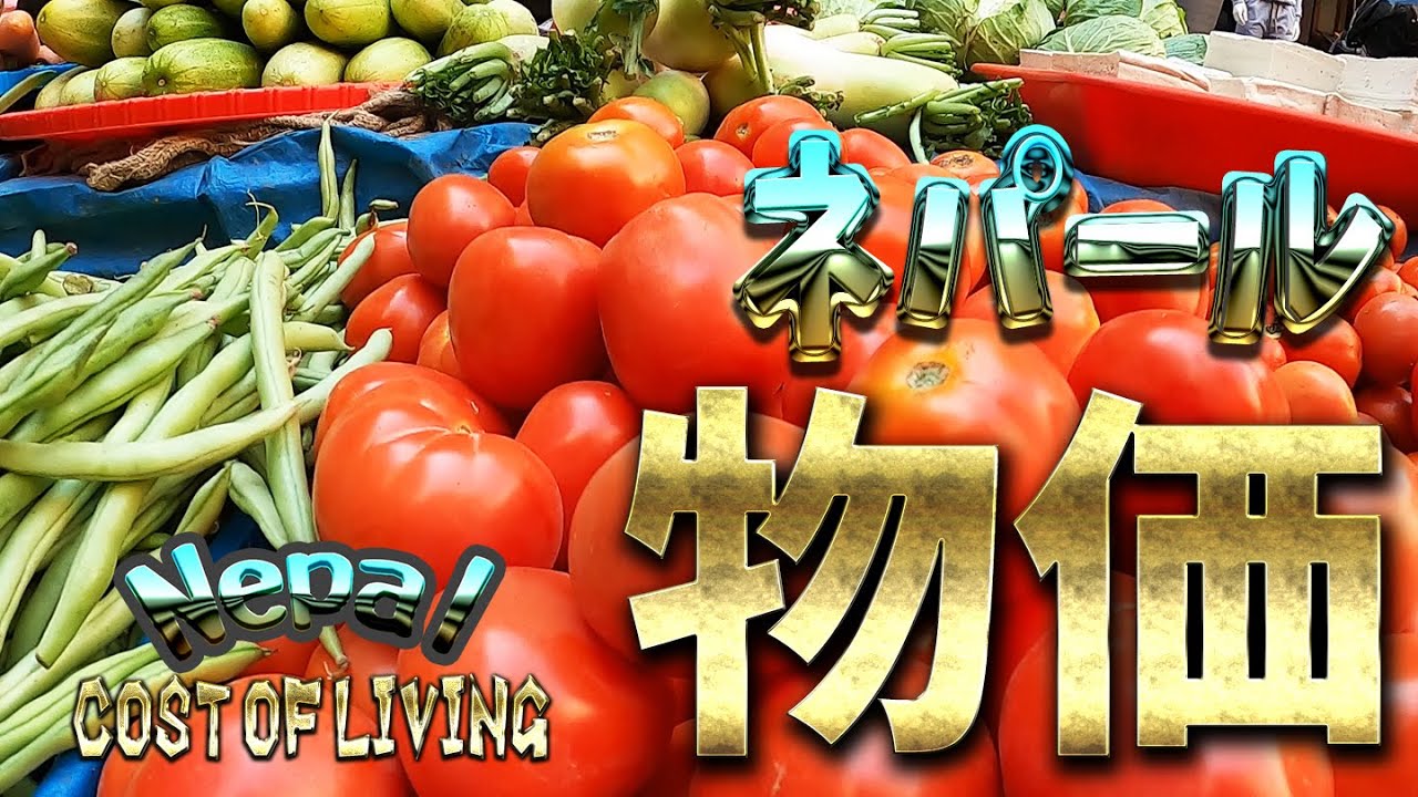 ネパール カトマンズ 最新タメルエリア情報 ロックダウンした今 22 1 26 Youtube