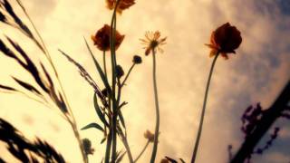 Download Lagu He Is We - All About Us (HD) MP3