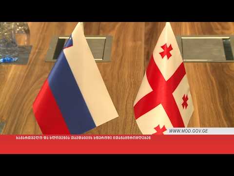 საქართველო და სლოვენია თავდაცვის სფეროში ითანამშრომლებენ