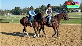 Sovereignty Returns to Training After Whitney, Golden Tempo & Others Prepare for 2026 Travers Stakes