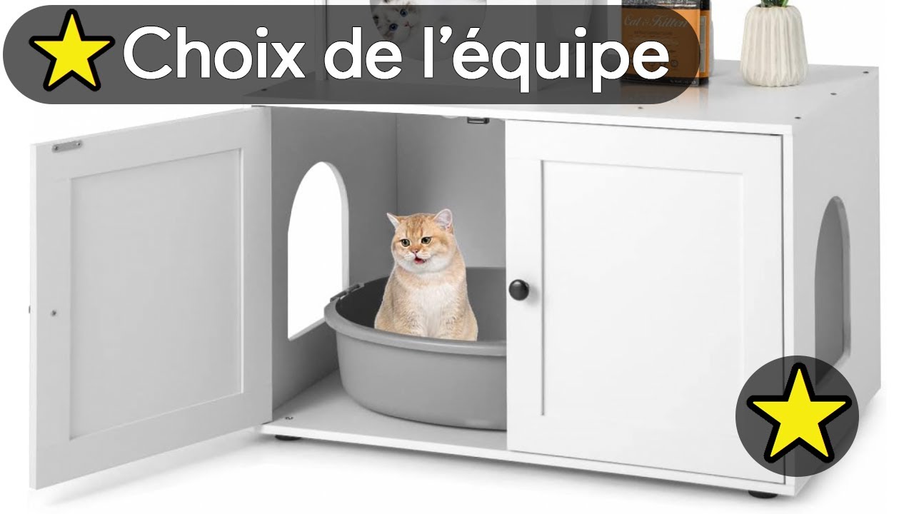 🏆 TOP 3 ARBRE A CHAT AVEC MAISON DE TOILETTE 2025 🌳