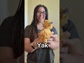 Yak! #crochet #amigurumi #crochetideas #crochetyak #crochetalong