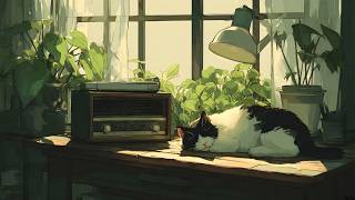 Calm Study Lofi Beats for Long Focus Hours