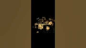 سورة القيامة#quran #اكسبلور #لايك #allah #تيك_توك #explorepage #shortvideo #ذكر_الله #fyp #الجمعة