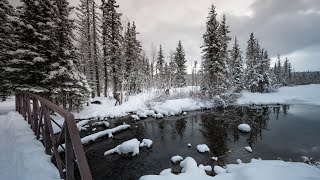 Winter Camping ASMR by a Creek by Gear Fool 991 views 2 months ago 18 minutes