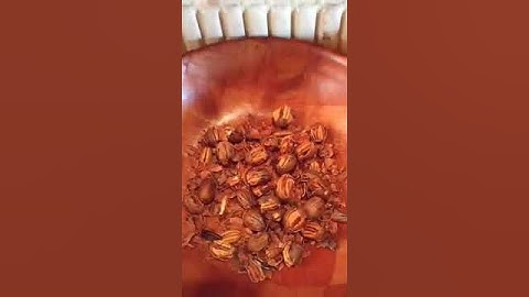 Thomson Cracker Customer Submission