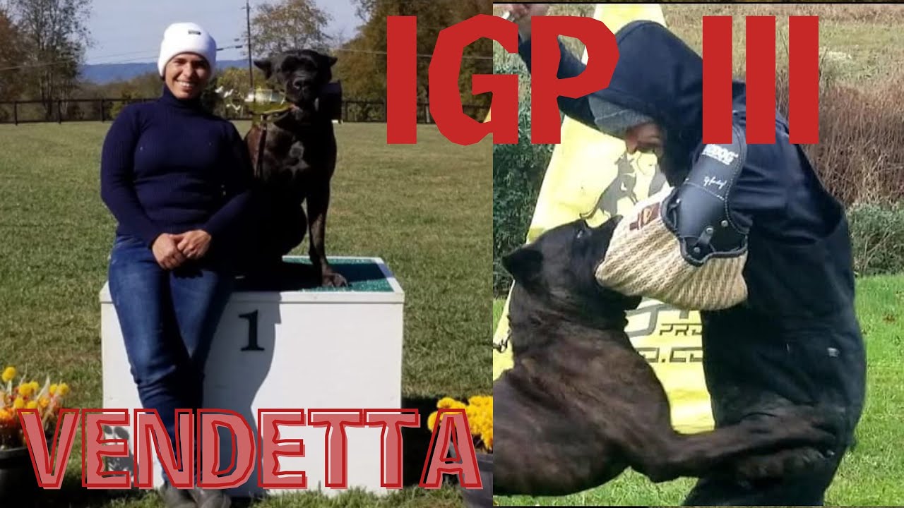 IGP 3 for Ivy League Vendetta!!! Also Baia passed BH-VT!