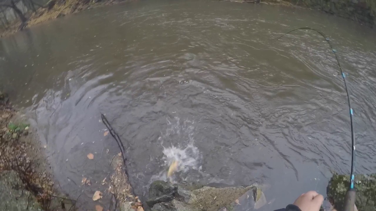 Trout fishing Easton , Pa YouTube