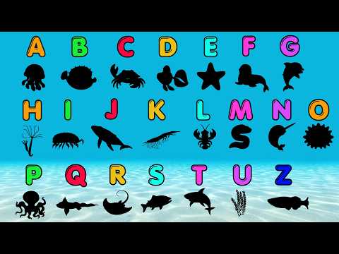 🐬 Guess the Sea Animals and Learn the ABCs! 🔤 Shadow Challenge for Kids 🐙