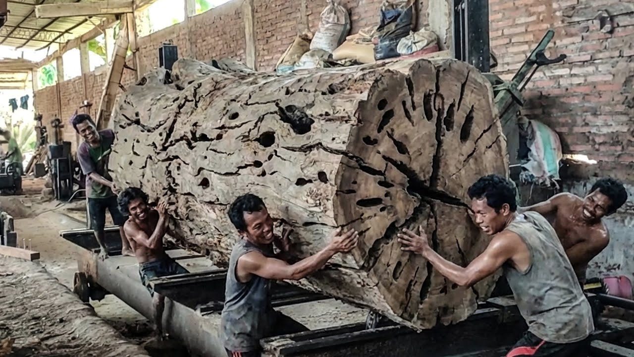 The Final 100 Second Countdown Before a Trembesi Log Nearly Destroyed ...