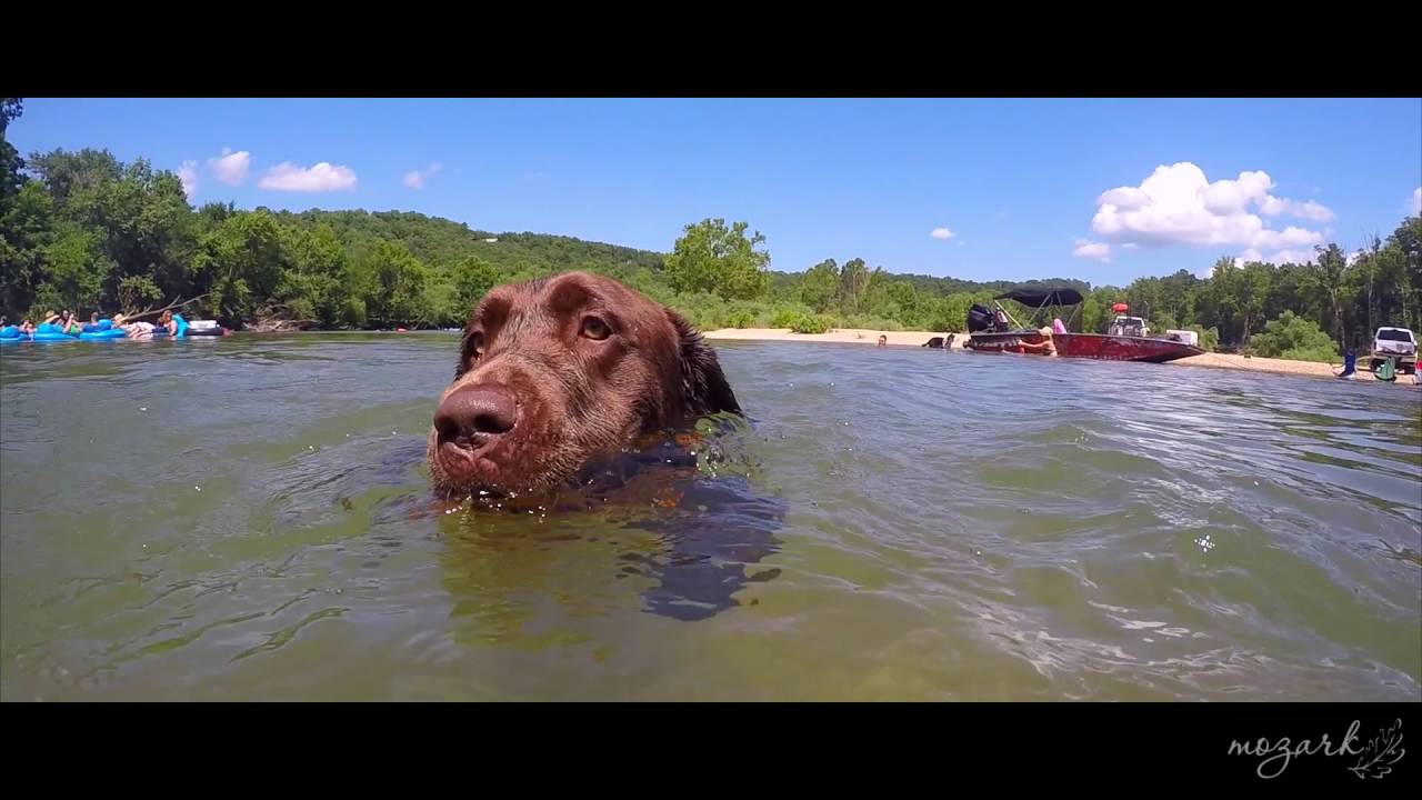 Another Day in Paradise*Current River*Ozarks*Mossy Oak Properties
