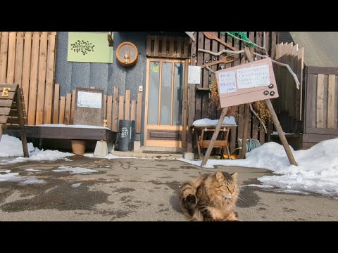 そばカフェはな野