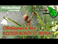 Обойдёмся без колорадских жуков! 100% КОЛОРАДЫ СДОХНУТ! А все хорошие - НЕТ!!!