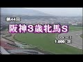 追憶のあのレース 1992年・第44回阪神3歳牝馬ステークスG1(スエヒロジョウオー)12万馬券の立役者