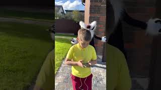 Shorts on TikTok: Furry😁