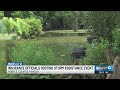 Louisiana insurance officials to host storm assistance event in Pointe Coupee Parish