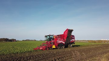 From Farm to Fork with Nordic Sugar - M230i-S4