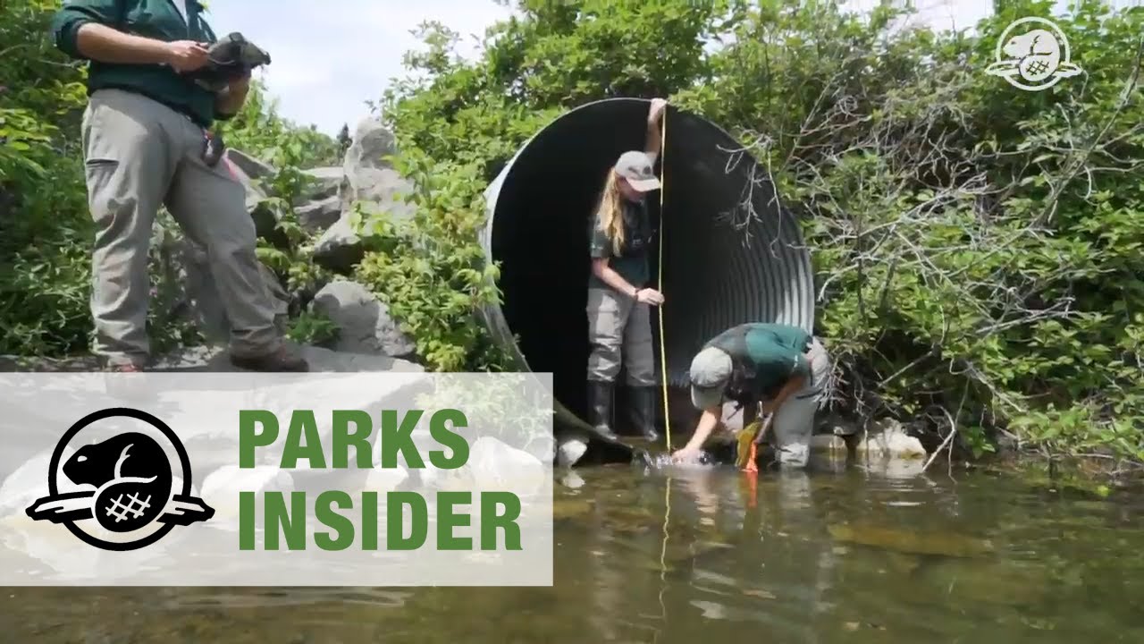 Aquatic Connectivity and River Health in Forillon National Park