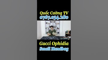 Review túi đeo vai GG Ophida Small handbag