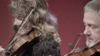 Rafael Piccolotto E Orq Pop De Câmara Forró Campeão Toninho Ferragutti Instrumental Sesc