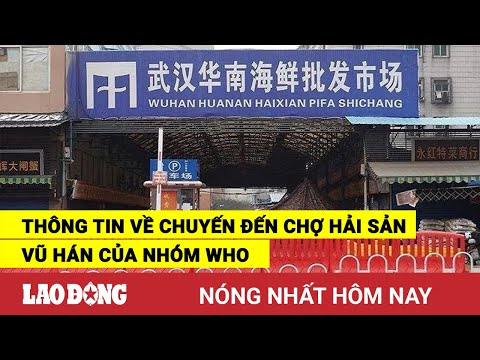 Video Nóng nhất hôm nay: Thông tin về chuyến đến chợ hải sản... - youtube