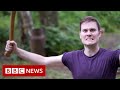 New video by BBC News on YouTube