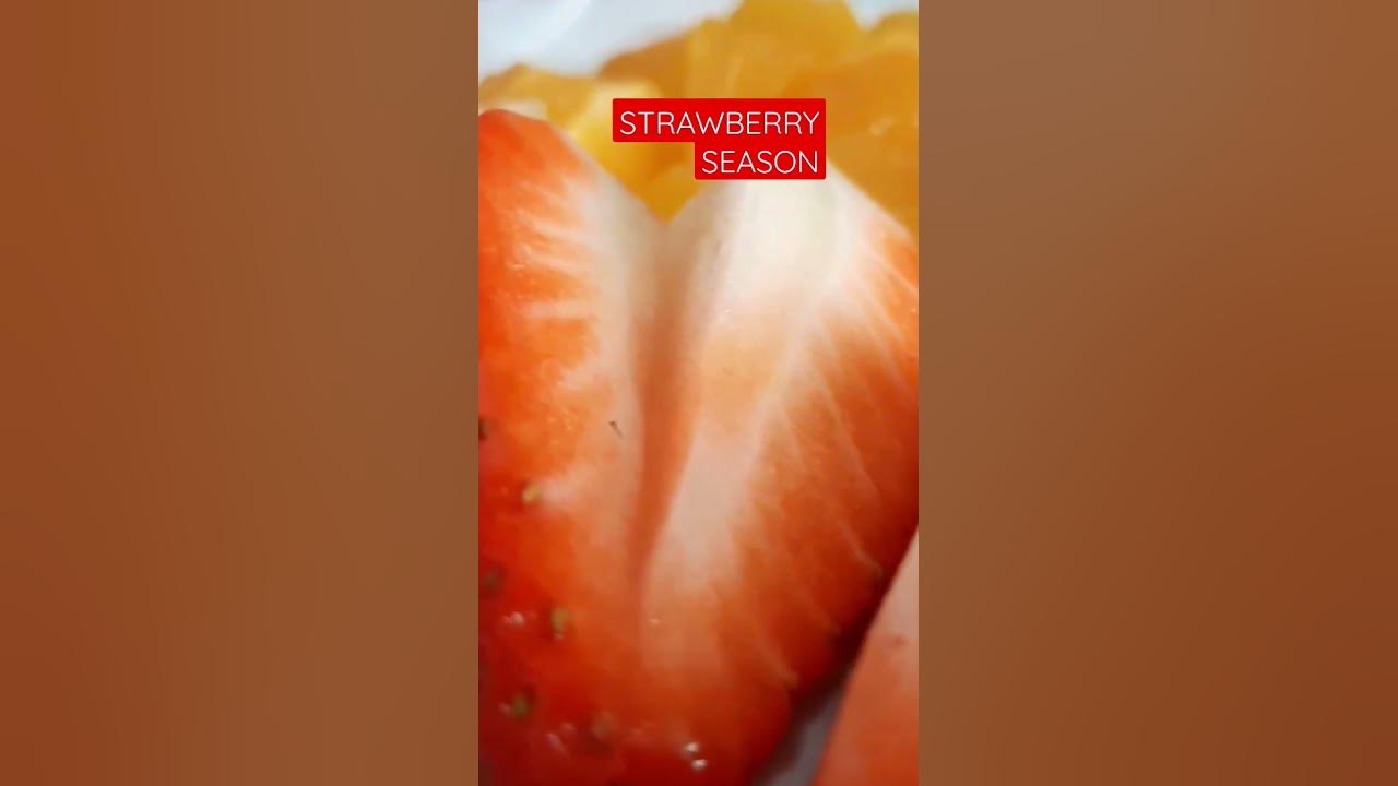 STRABERRY SEASON IN SPAIN shorts shortvideo oddlysatisfyingvideo  straberry-season-in-spain-shorts-shortvideo-oddlysatisfyingvideo