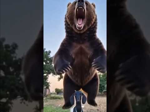 yaar Tera khalnayak hai 😆 #shorts #viral #video #short @OfficialpankajMaurya10