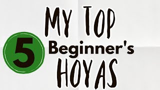 5 EASY HOYAS FOR THE NEW HOYA COLLECTOR // My top Hoyas for the beginner //Affordable and Obtainable