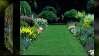 Profesional Garden And Lanscaping