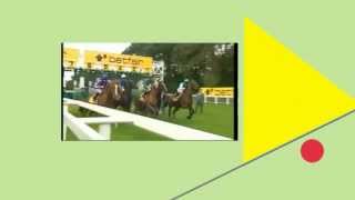 Horseracing Tips - WINNING betting system screenshot 3