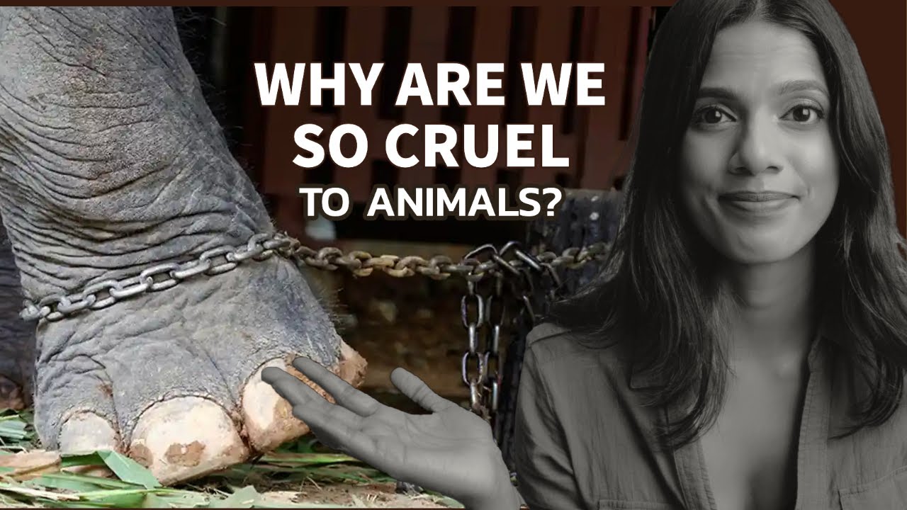 #1 Reason why we FAIL to understand ANIMALS - YouTube