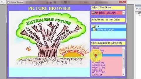 Picture Viewer+Browser in Visual Basic -Using Drive List ,Directory List,File List,Picture Controls