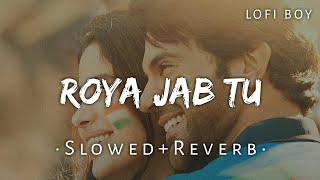 Roya jab tu (Slowed Reverb) | Vishal Mishra| Mr.& Mrs. Maahi | Lofi Boy