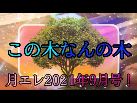 [初見‼️月エレ9月号]この木なんの木　弾いてみた！