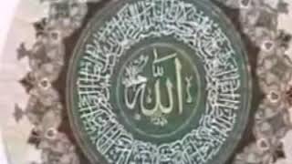 🔥 أحمد نعينع 💖 نهاوند من سورة الأحزاب وسورة النصر 🌹💚