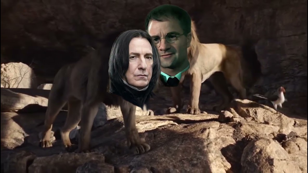 If Harry Potter characters were in The Lion King 🦁👑