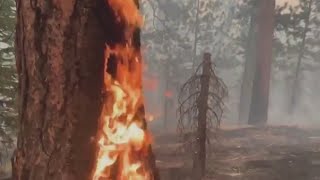 Oregon highways see delays, closures due to wildfires as new Level 3 ‘Go Now’ evacuation issued