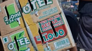 Download Lagu Inikah yang ditunggu Kicau Mania di Indonesia bongkaran burung masteran yang kita impi-impikan MP3