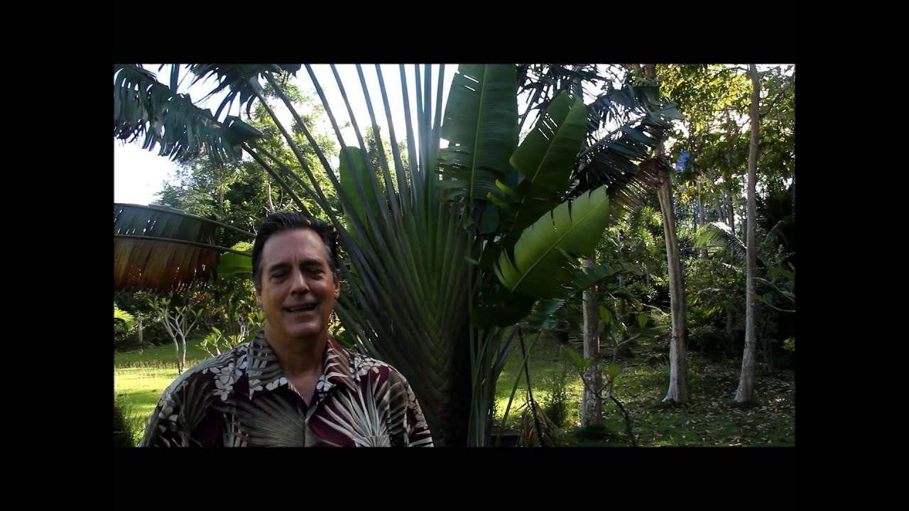 Intellectual Property - Prototypes with Eric Hanscom