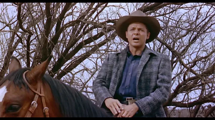 The Guns of Fort Petticoat (Western 1957) Audie Mu...